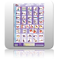 mediBall Wall Chart - (A2 Celoglazed)